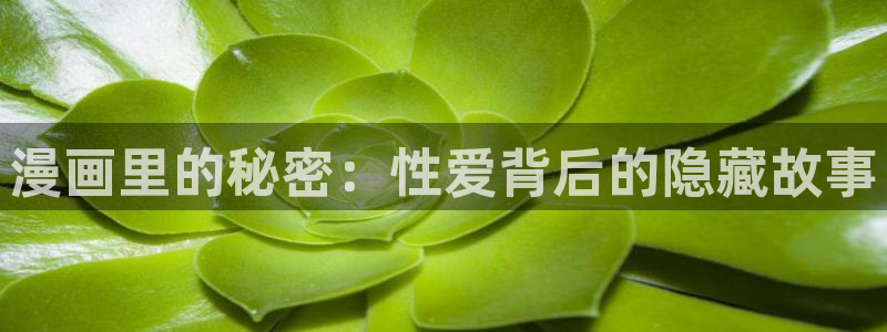 天堂漫画1.7.5：漫画里的秘密：性爱背后的隐藏故事